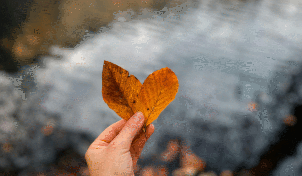 фото для статей(8)